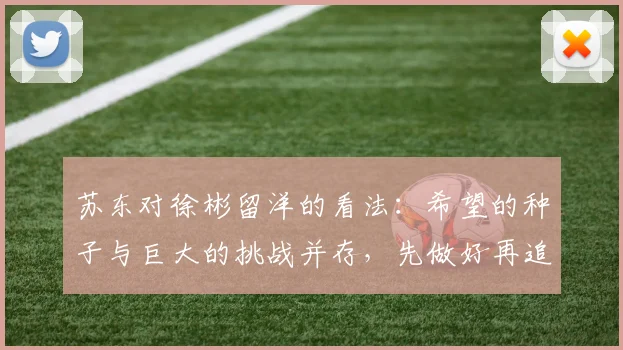 苏东对徐彬留洋的看法：希望的种子与巨大的挑战并存，先做好再追求完美