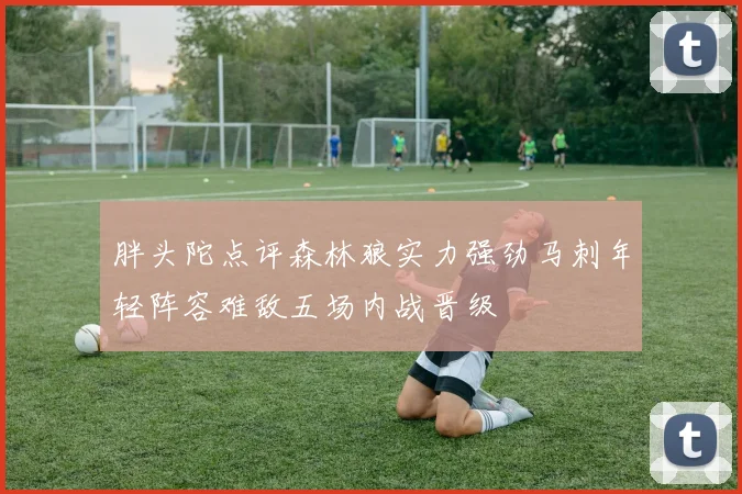胖头陀点评森林狼实力强劲马刺年轻阵容难敌五场内战晋级