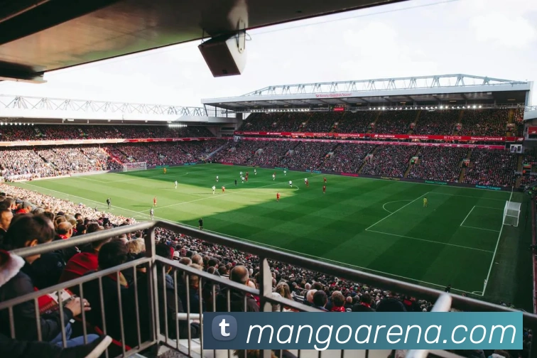 芒果体育发展历程